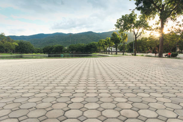 Best Professional Driveway Pavers  in Mitchellville, MD
